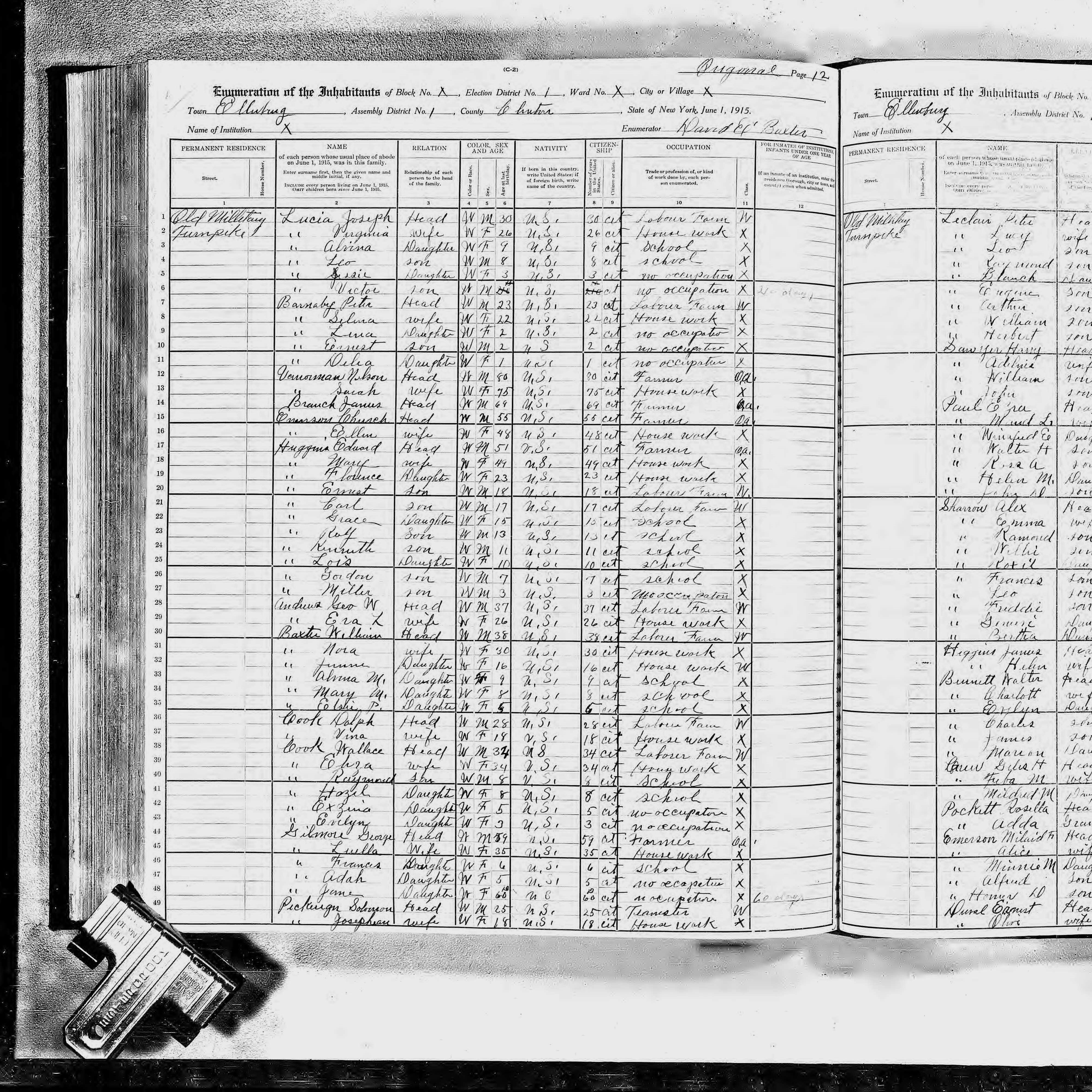 1915 NY Census Exina Cook