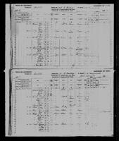1881 Canadian Census John Johnston