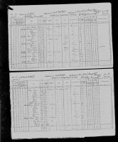 1871 Canadian Census John Johnston