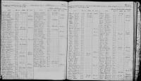1892 NY Census Emmett Cook