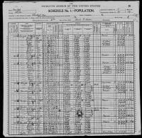 1900 US Census Emmett Cook