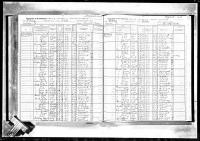 1915 NY Census Wallace Russell Cook