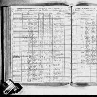1915 NY Census Covey
