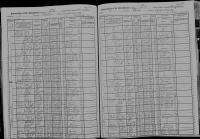 1905 NY Census Napoleon Babeau
