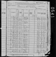 1880 US Census Julia Dumas