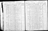 1905 NY Census Achon Babbie