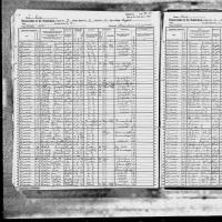 1925 NY Census Julia Bruse