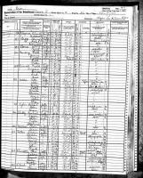 1925 NY Census Peter Golda