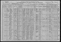 1900 US Census Newell Badger