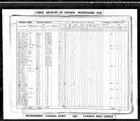 1861 Canadian Census Michael Holihan