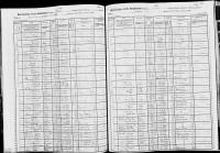 1905 NY Census Olive Lamarque
