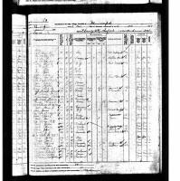 1895 Minnesota Census Patrick Lavill