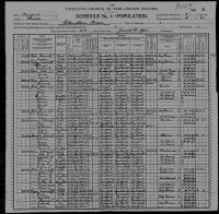 1900 US Census Pierre Patrie