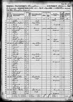 1860 US Census Patrie