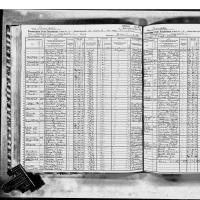 1925 NY Census Stanley Patrie-Malone