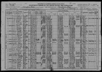 1920 US Census Stanley Patrie