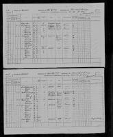 1871 Canadian Census Thomas Lavill