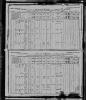 1891Canadian Census Patrick Lavel