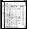 1895 Minnesota Census Patrick Lavill