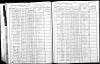 1905 NY Census Achon Babbie