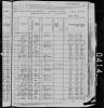 1880 US Census George Lamark