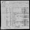 1913 Immigration Maria Wolosz
