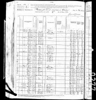 1880 US Census Louis Burdo