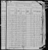 1880 US Census Dennis Relation