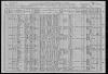 1910 US Census Drown