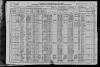 1920 US Census Drown