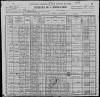 1900 US Census Brooks