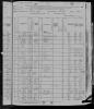1880 US Census Emmett Cook