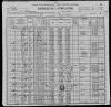 1900 US Census Emmett Cook