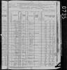 1880 US Census Timothy Welch