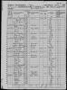 1860 US Census Russell Cook