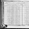1915 NY Census Exina Cook