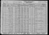 1930 US Census Jan Janos