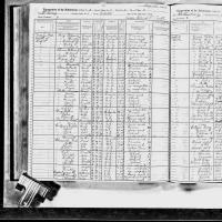 1915 NY Census Brooks