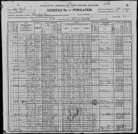 1900 US Census Brooks