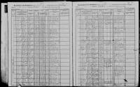 1905 NY Census Brooks